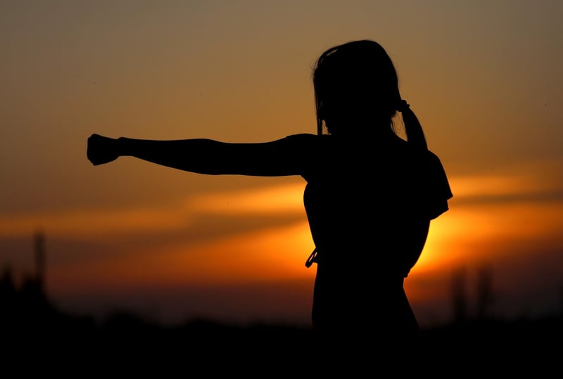 Sun Style Martial Art