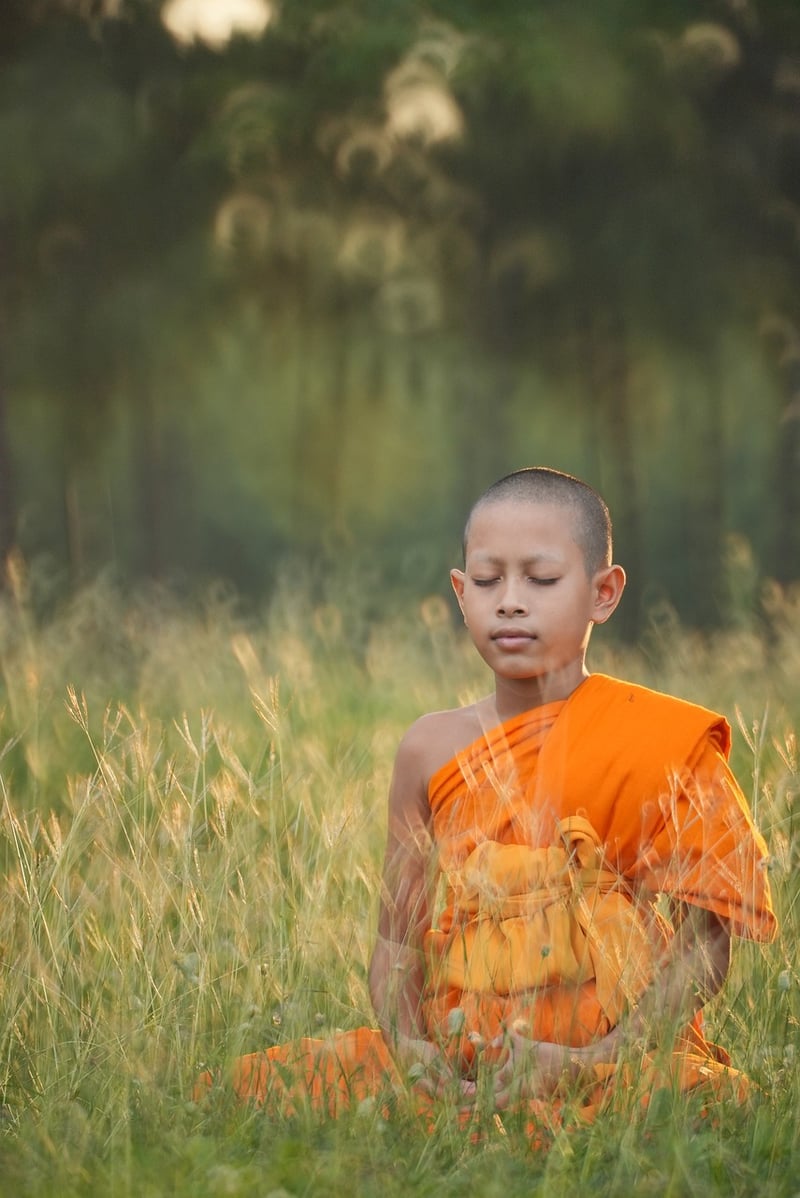 Meditation and Well-being